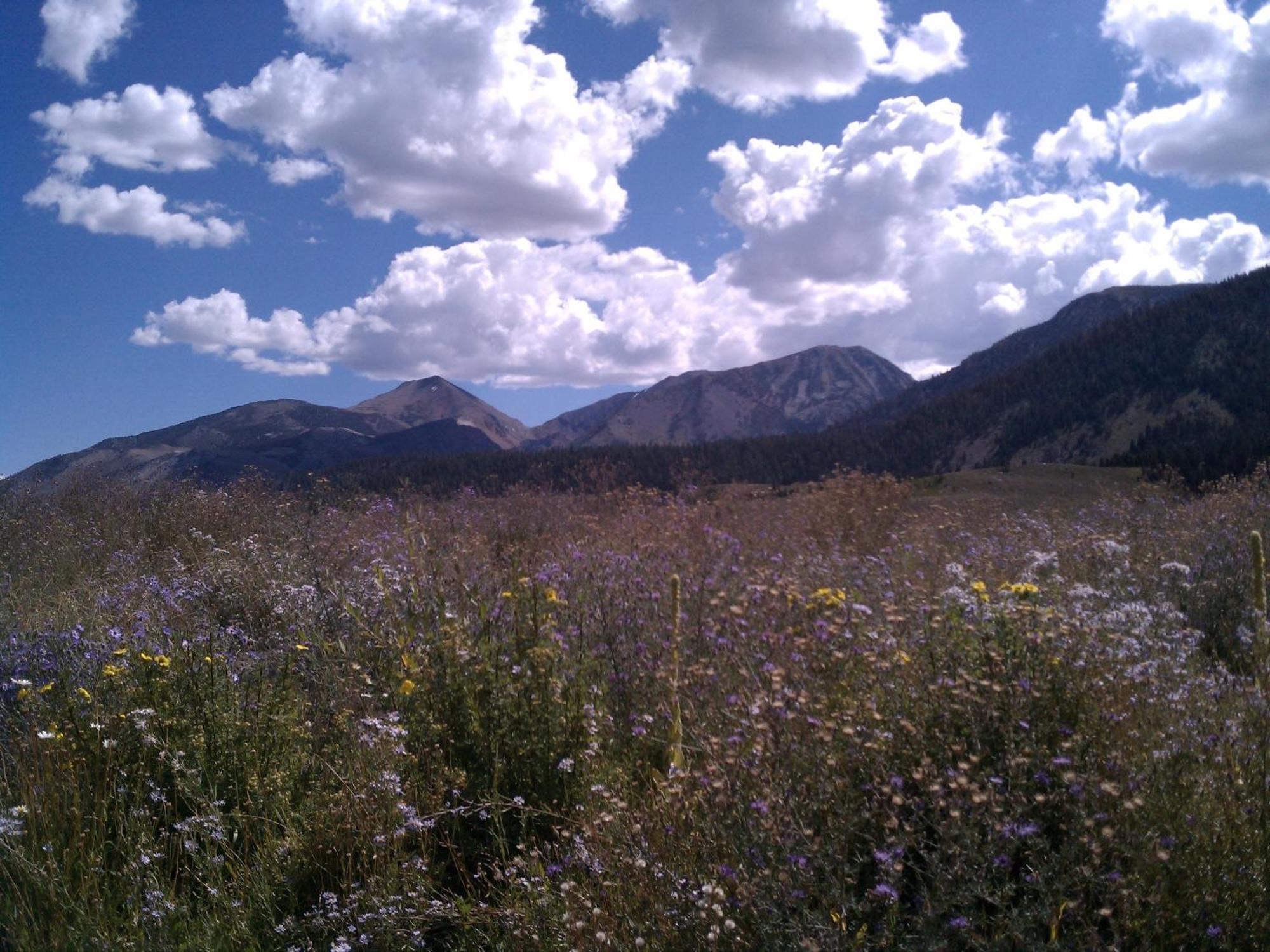 Snowcreek Resort Vacation Rentals Mammoth Lakes Exterior foto